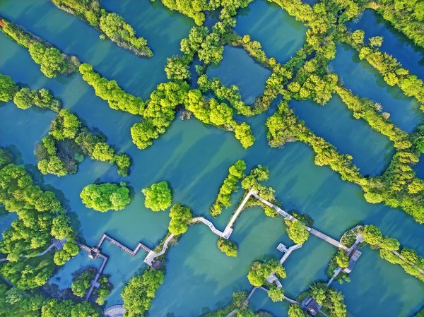配资服务网 湿地保护国际研讨会在杭州举行 西溪湿地引领全球湿地保护